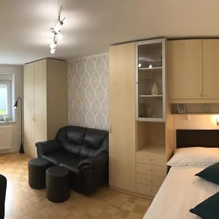 럭셔리 스튜디오 아파트먼트 *