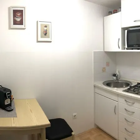 럭셔리 스튜디오 아파트먼트 * 류블랴나