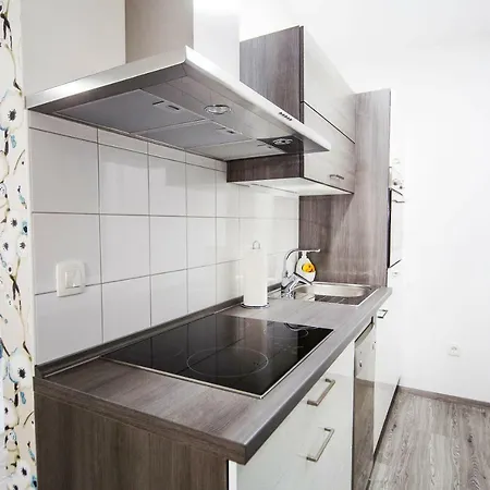 럭셔리 스튜디오 아파트먼트 류블랴나