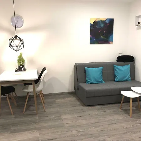 럭셔리 스튜디오 아파트먼트 *